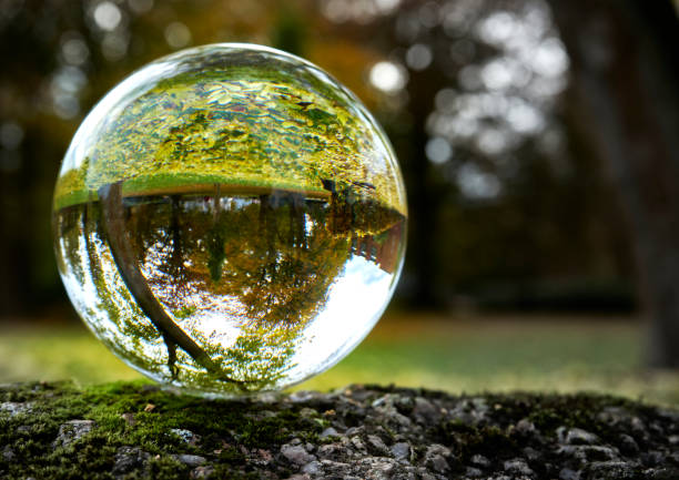 lawn covered with yellow autumn leaves and a bare tree at the edge in the abstract misrepresentation of a glass ball on a stone slab - abstract autumn bare tree empty imagens e fotografias de stock