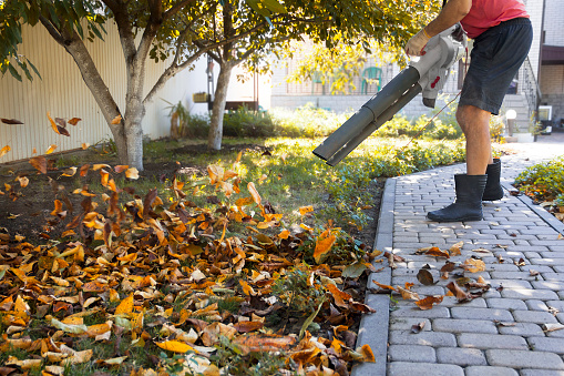 Gardening, man uses a blower, a vacuum cleaner works in an autumn garden, blowing off fallen leaves from a garden path