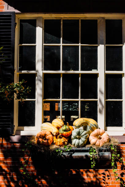 istock Boston, Massachusetts USA 1283884615