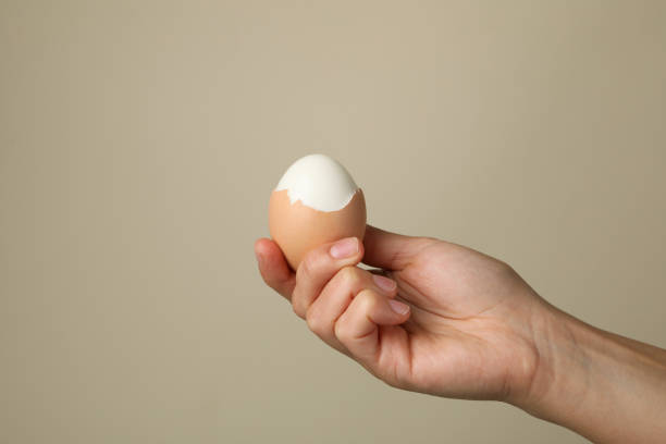 istock Female hand hold boiled egg on gray background 1283885380