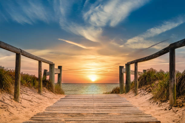 sentiero sulla spiaggia che conduce all'oceano con un'alba spettacolare - beach sunset sand wood foto e immagini stock