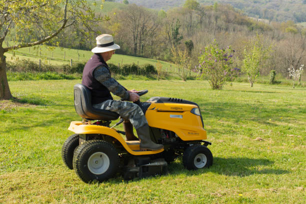 istock Gardening, mowing, pruning, cutting, pruning are work to be done in the garden 1283887057