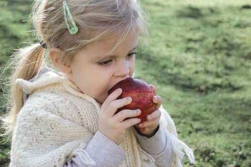 Cute tree years old girl eating red organic apple. Candid outdoor childhood concept.