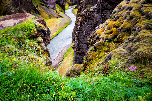 Landscape high angle above view of canyon in Fjadrargljufur, Iceland with large cliff and river water by green grass and moss and flowers