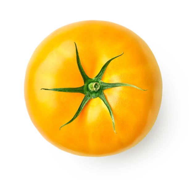 istock Fresh yellow tomato isolated on white background 1283895167