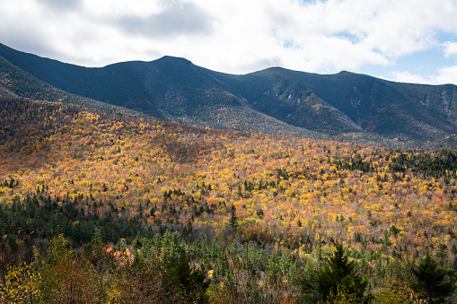 fall foliage in White Mountains Forest New Hampshire
