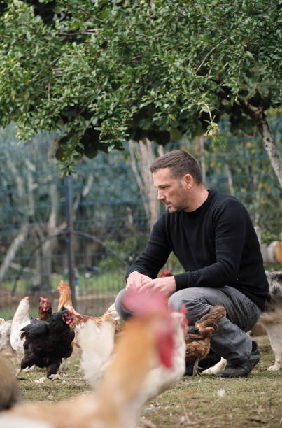 istock Farmer working on farm and feeding animals 1283896622