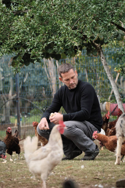 istock Farmer working on farm and feeding animals 1283896624