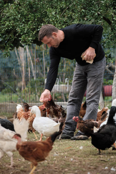istock Farmer working on farm and feeding animals 1283896632