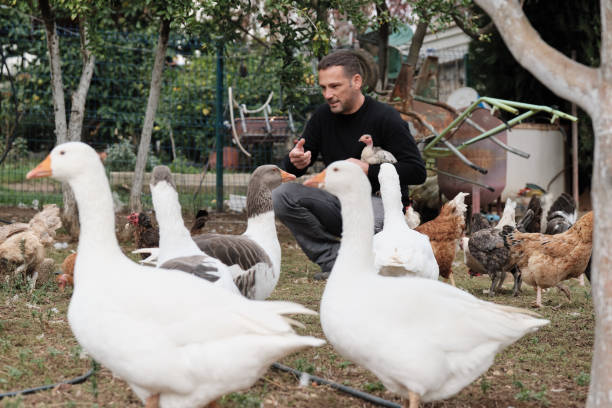 istock Farmer working on farm and feeding animals 1283896660