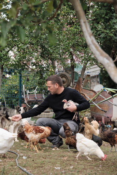 istock Farmer working on farm and feeding animals 1283896710