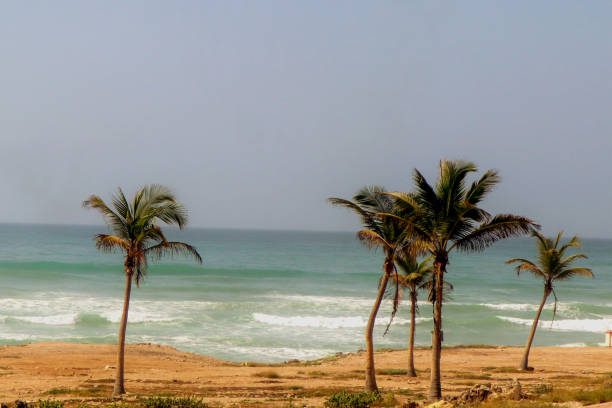 istock mughsail beach in salalah 1283897943