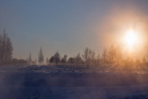 marzycielski zimowa mgła ciemne tło - winter lake snow fog zdjęcia i obrazy z banku zdjęć