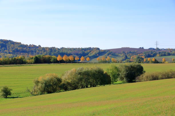 istock Meadow with grass and big autumn trees against blue sky 1283899197