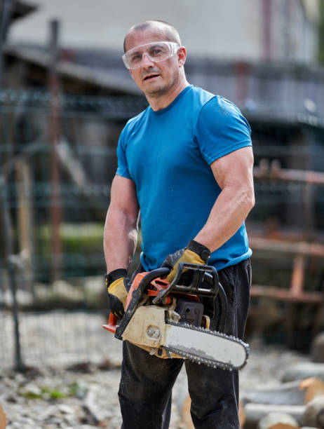 istock Farmer with chainsaw cutting wood 1283902404