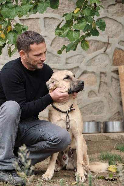 istock Dog and man togetherness 1283902475
