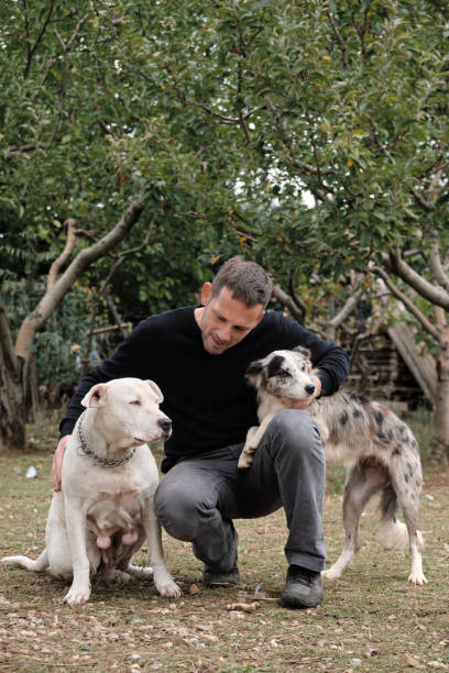 istock Dog and man togetherness 1283902696