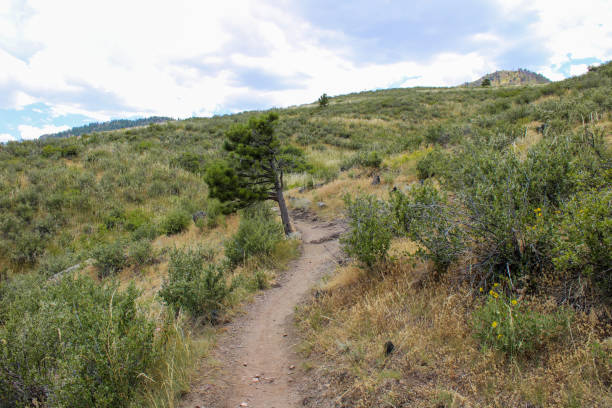 istock Mountain Hiking Trail at Lory State park Colorado 1283904153