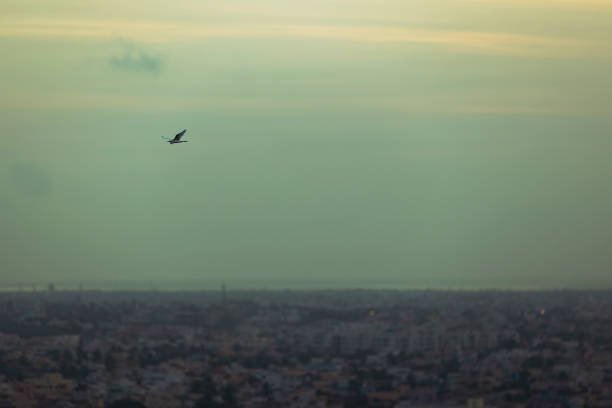 Evening misty cityscape from above bird flying over, shot from tall building. Chennai, India.