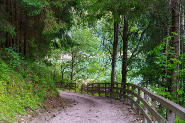 istock Cycleway of Pusteria valley at summer 1283905070