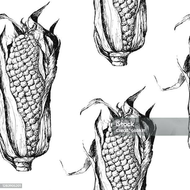 Abstract Sweetcorn Pattern Seamless Pattern With Sweet Corn Background Stock Illustration ...