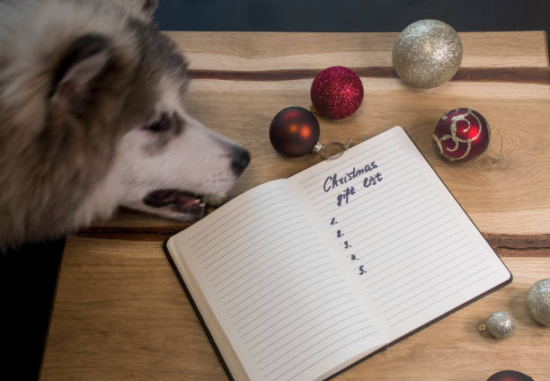 istock Christmas gift list and Alaskan Malamute puppy stealing a bauble 1283907075