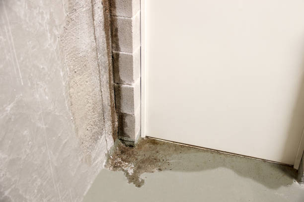 私の建物の湿度 - leaky basement ストックフォトと画像