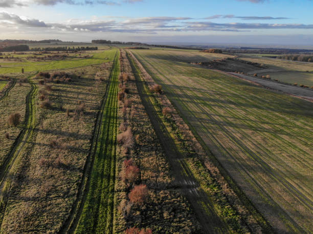 istock Views from The Ridgeway in Oxfordshire 4 November 2020 1283907419