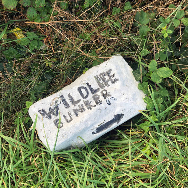 istock Wildlife bunker nature trail, Alderney 1283908709