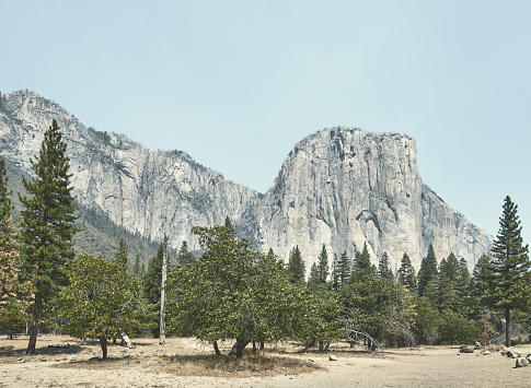 El Capitan rock formation in Yosemite National Park, color toned picture, California, USA.