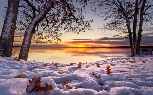 West Pine Drive Snowy Sunrise, Higgins Lake,  Roscommon, Michigan. A early white crispy new morning snow.