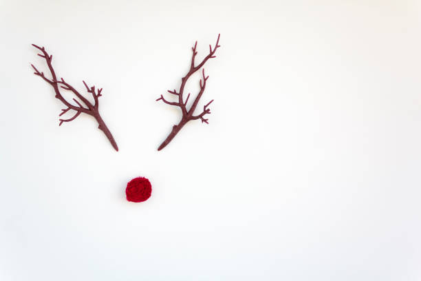 복사 공간이있는 흰색 배경에 붉은 코와 뿔이있는 크리스마스 순록 개념 - clowns nose 뉴스 사진 이미지