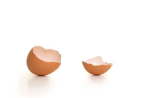istock Two parts of a broken empty egg shell on a white background 1283912933