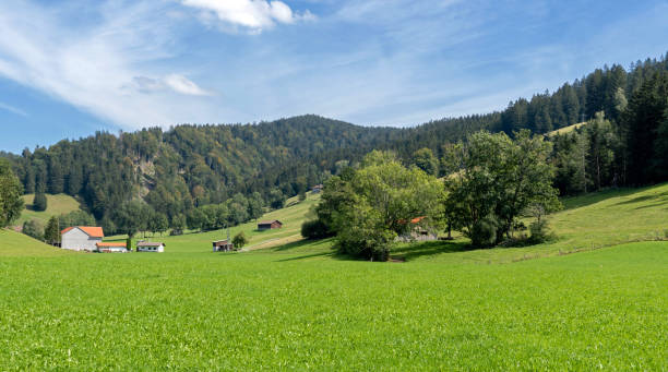 istock Landscape in the Allgaeu Region 1283914496