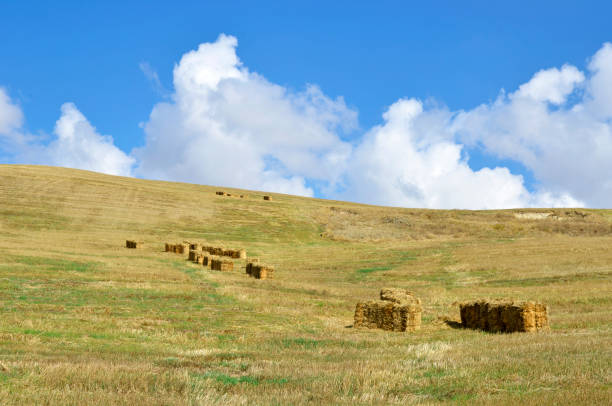 istock straw bales in the countryside 1283915208