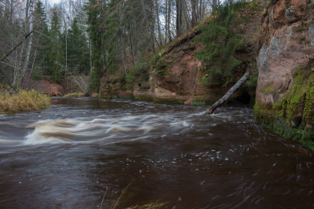 istock Rapid river with stones and trees. Natural flora. 1283917845