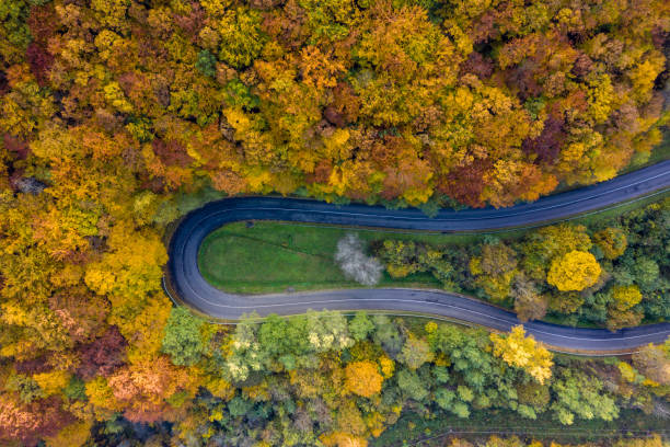 istock road drone view in autumn 1283920925