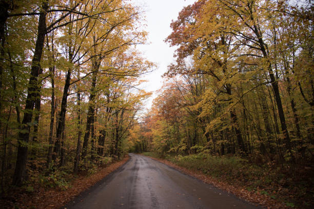 istock Covered Drive in Houghton, MI in the Upper Peninsula 1283920966