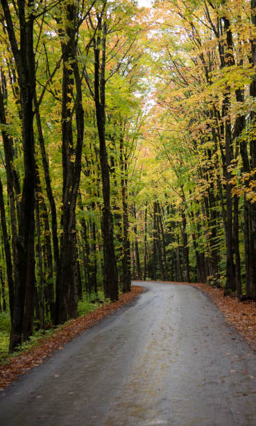 istock Covered Drive in Houghton, MI in the Upper Peninsula 1283921551