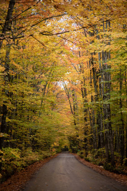 istock Covered Drive in Houghton, MI in the Upper Peninsula 1283921649
