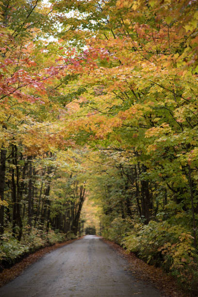 istock Covered Drive in Houghton, MI in the Upper Peninsula 1283921786