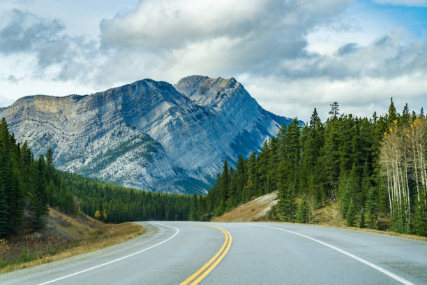 istock Rural road in the forest with mountains in the background. 1283926543