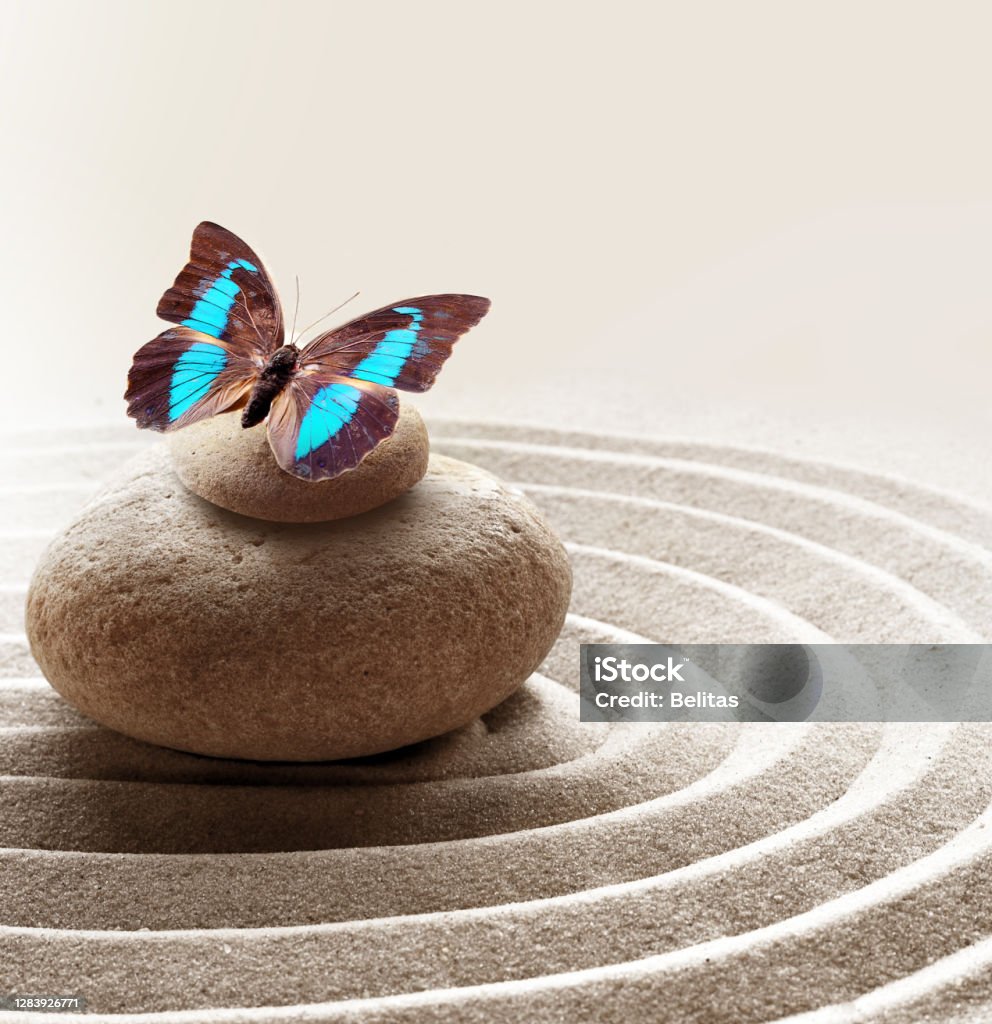 Thiền Vườn Thiền Nền Đá Và Bướm Với Đá Và Vòng Tròn Trên Cát Để ...