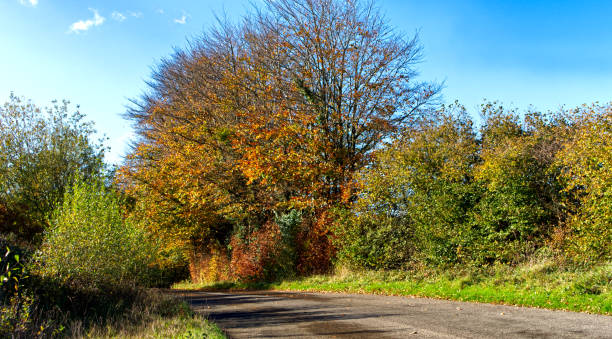 istock Rural roads in late autumn sunshine 1283929284