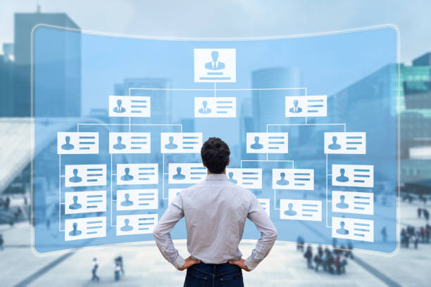 istock Organization chart showing hierarchy structure of teams in corporation with CEO, directors, executives and employees. Human Resources Manager working with HR organizational diagram, career concept 1283929542