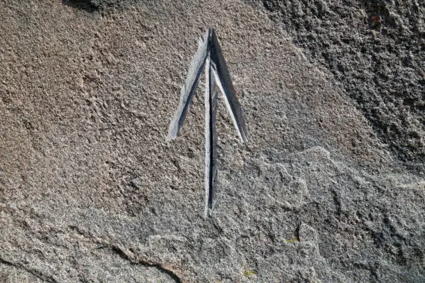 Sagittarius zodiac sign curved in stone. Mystic symbols