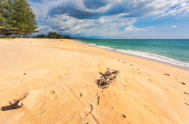 istock Beautiful tropical beach. Phuket. Thailand 1283939436