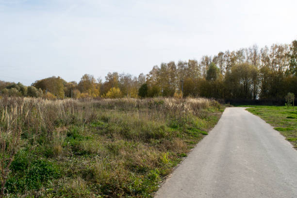 istock Natural background meadow, road and trees 1283942062