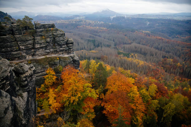 alto acantilado de arenisca en el fondo del bosque de otoño, paisaje cerca de la puerta de pravcicka (prebischtor) formación rocosa en el parque nacional de la suiza bohemia, hrensko, república checa - pravcicka fotografías e imágenes de stock