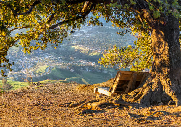 chaise avec vue de vallée - northridge photos et images de collection